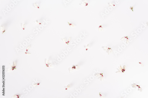 Top view photo of amazing gentle little white floral buds on gray background. Alternative botanical herbal medicine concept. Floral pattern. Open composition.