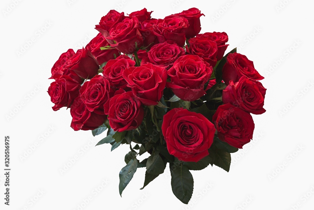 Obraz premium Splendid bouquet of roses isolated on the white background