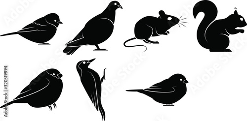 set of black silhouettes of birds and rodents