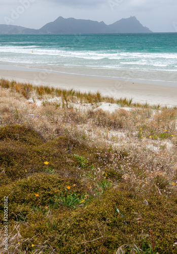 Ruakaka coast. New Zealand. Beach and ocean. Dunes. Whangarei in the Bream Bay area. photo