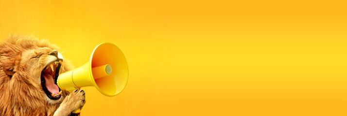Lion roaring on a megaphone. Advertisement concept with wide copy space for text.