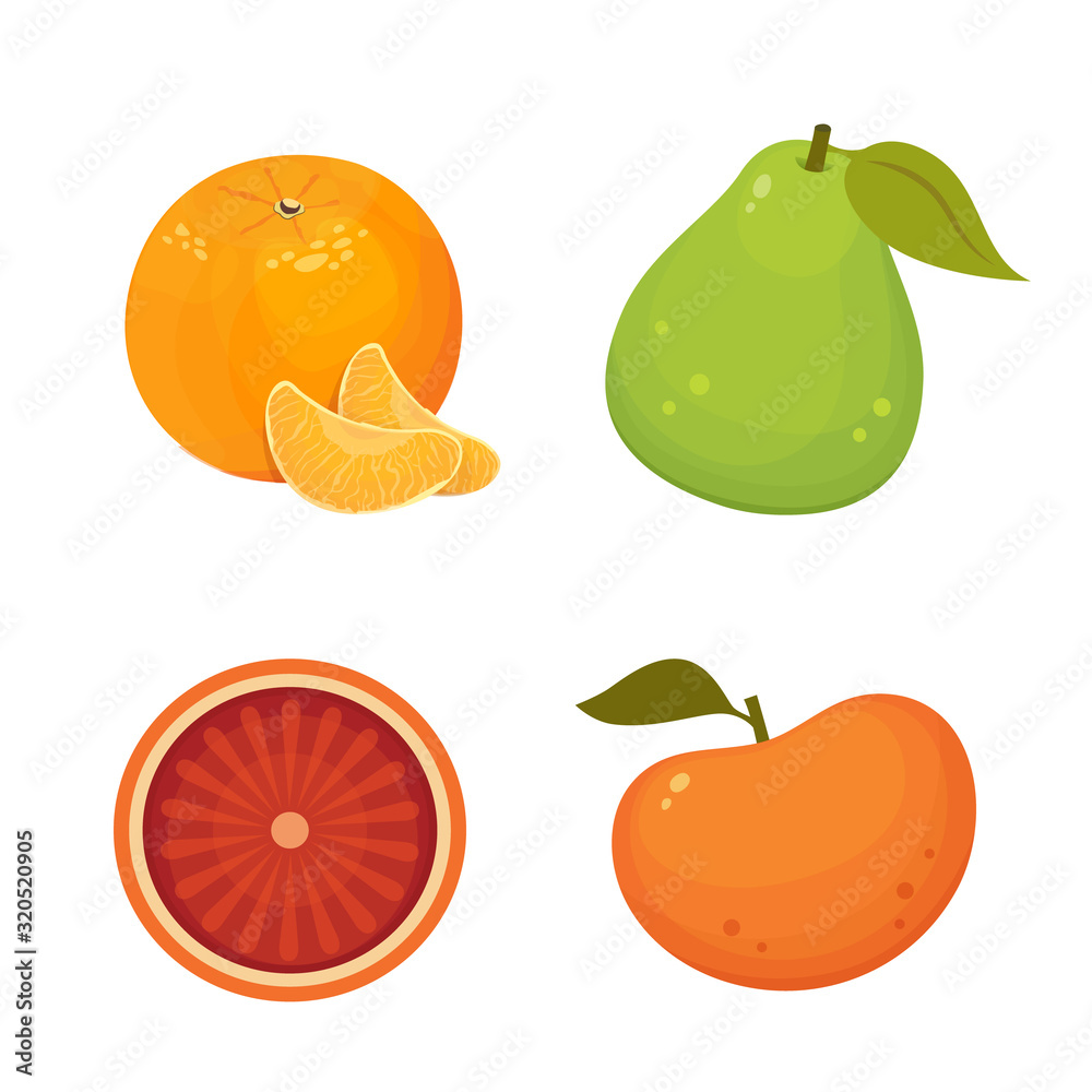 Fresh citrus fruits isolated vector illustration with tangerine, grapefruit, orange, pomelo. Vitamin C concept. Fresh citrus fruits isolated vector illustration with tangerine, grapefruit, orange, pomelo. Vitamin C concept.