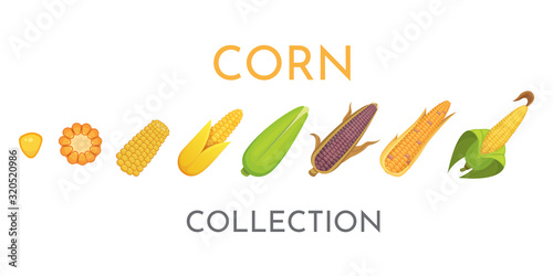 фотографія Colorful yellow corns in different styles vector illustration