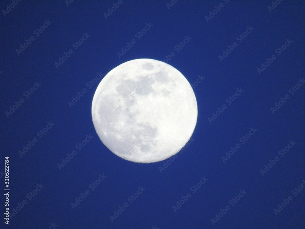 Genoa, Italy - 01/15/2019: Beautiful caption of the moonlight over the village in winter days with some trees and leaves in the background by night and by day. Genoa, Italy - 01/15/2019: Beautiful caption of the moonlight over the village in winter days with some trees and leaves in the background by night and by day.