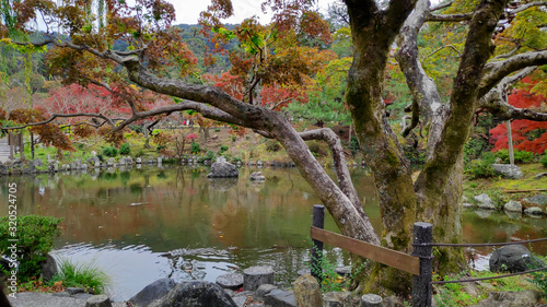 Autumn season colorful of leaves in Maruyama Park at Kyoto