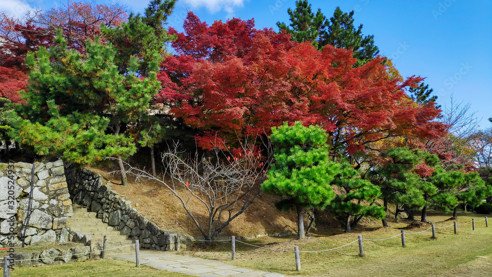 Beautiful garden inside Himeji castle Beautiful garden inside Himeji castle