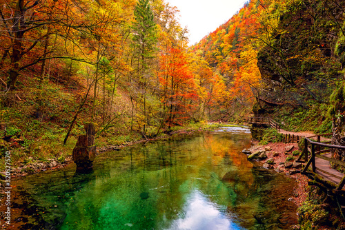 Famous Vintgar gorge (soteska Vintgar) or Bled Gorge (Blejski vintgar) in Slovenia. Amazing nature autumn landscape with scenic canyon of turquoise colored Radovna river, outdoor travel background