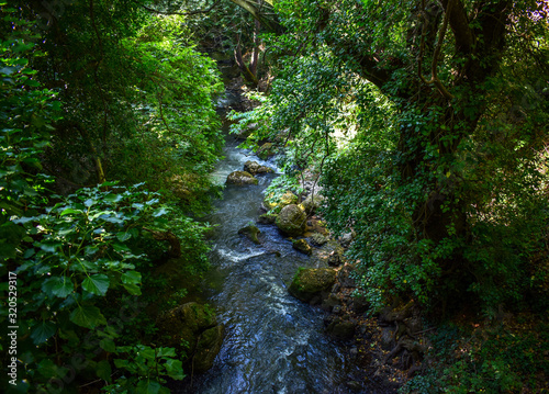 River Winter Stream