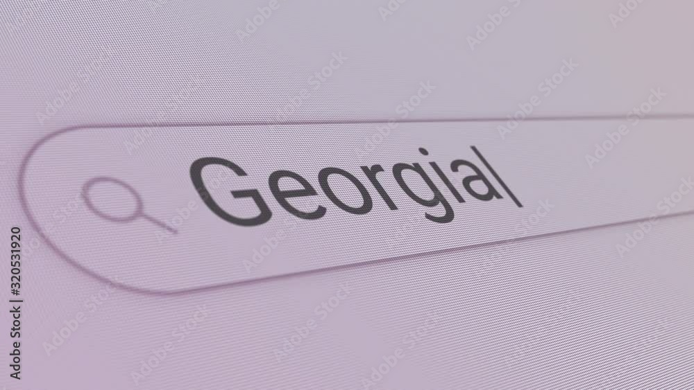 Georgia Search Bar Close Up Single Line Typing Text Box Layout Web Database Browser Engine Concept