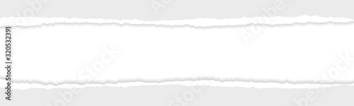 Wide Banner with Gray Ripped or Torn Paper Divider Background