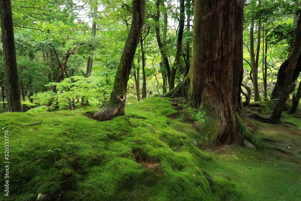 Naklejka premium 森