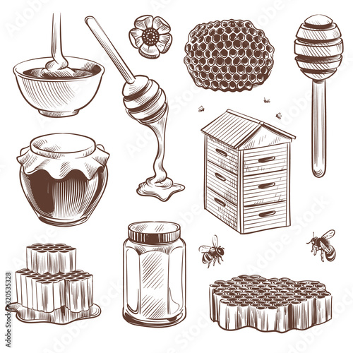 Sketch honey. Engraved natural organic sweet food honey, pollen and beeswax, hive bee. Beekeeping vintage hand drawn vector set