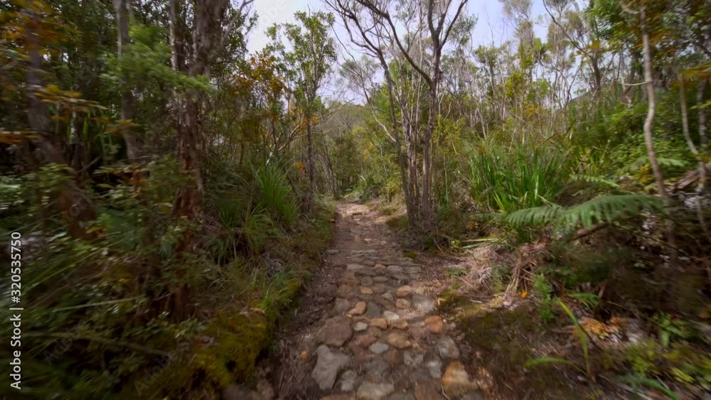 Walking the forest cobblestone path Walking the forest cobblestone path