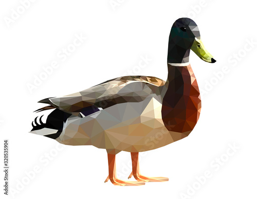 Low poly triangular single duck drake on white background, vector illustration isolated.  Polygonal style trendy modern logo design. Suitable for printing on a t-shirt.