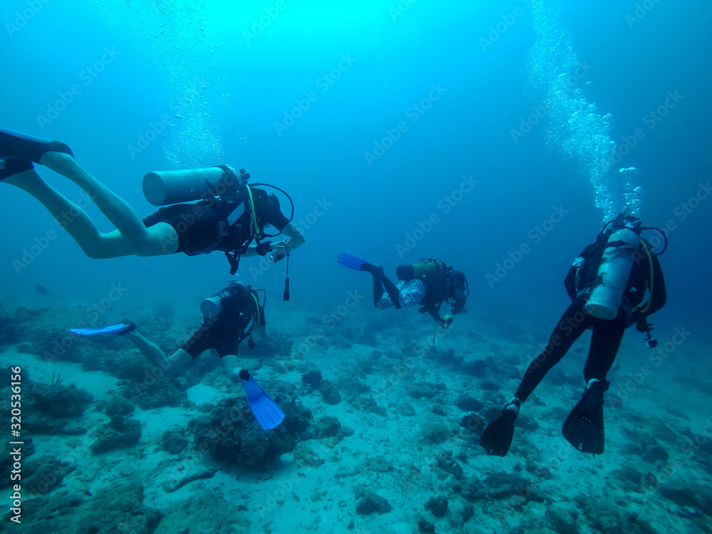 Scuba divers under water. Bubbles, blue water, Zanzibar - obrazy, fototapety, plakaty 