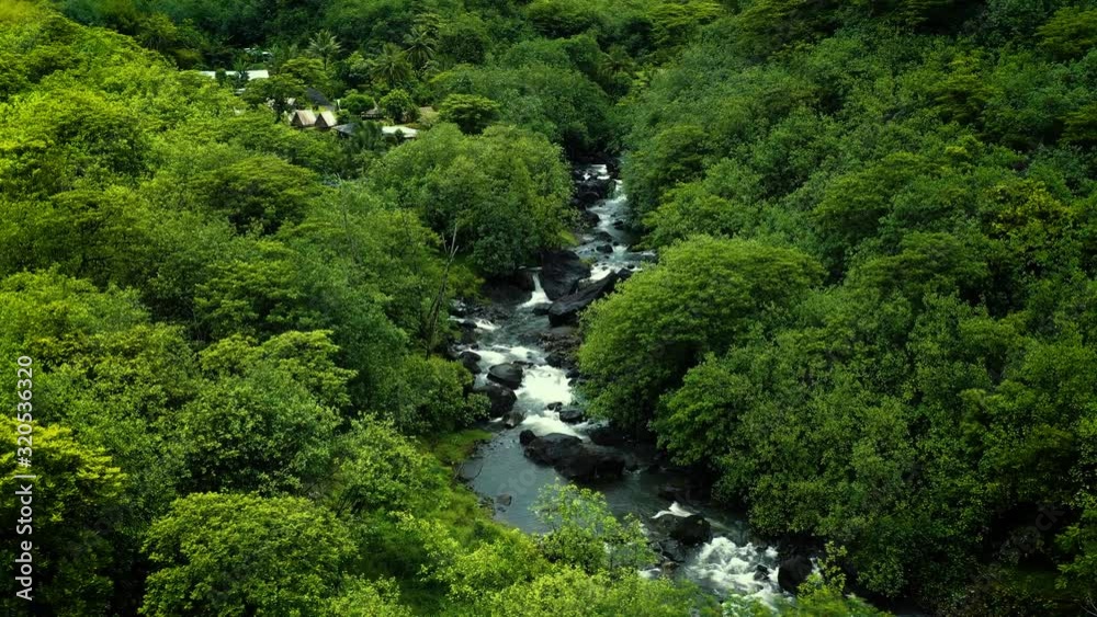River flows between stones and vegetation of the rainforest in Papenoo. Beautiful nature landscape perfect for travel and adventure in French Polynesia - aerial view with a drone River flows between stones and vegetation of the rainforest in Papenoo. Beautiful nature landscape perfect for travel and adventure in French Polynesia - aerial view with a drone