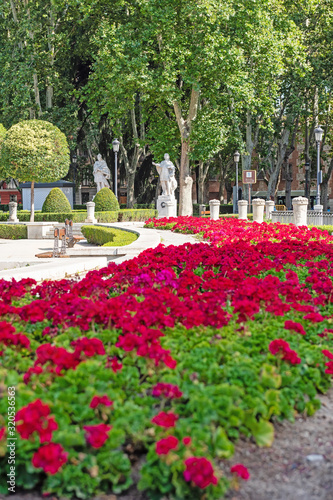 Flower bed on the plaza de oriente in Madrid. Spain