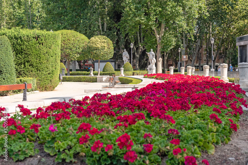Flower bed on the plaza de oriente in Madrid. Spain