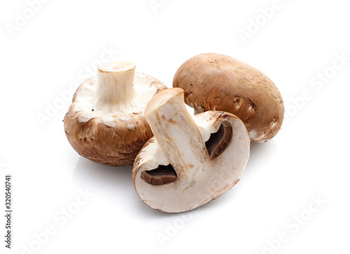 champignon mushrooms on white background