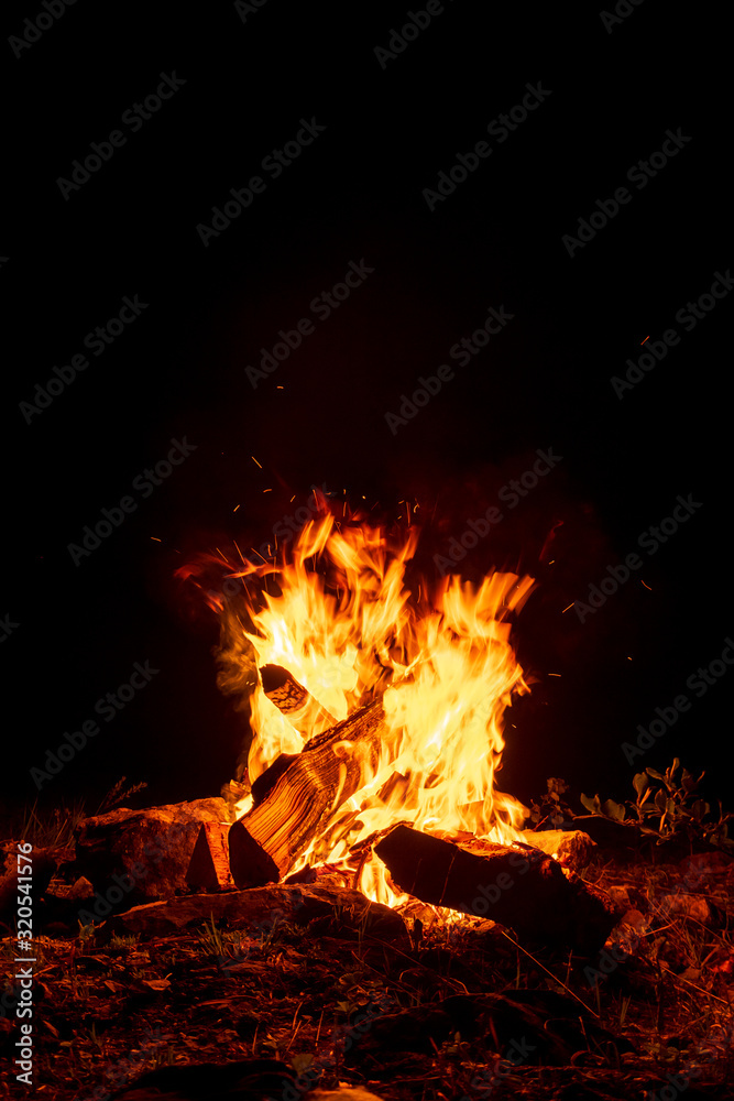 Campfire burning at dark night Campfire burning at dark night