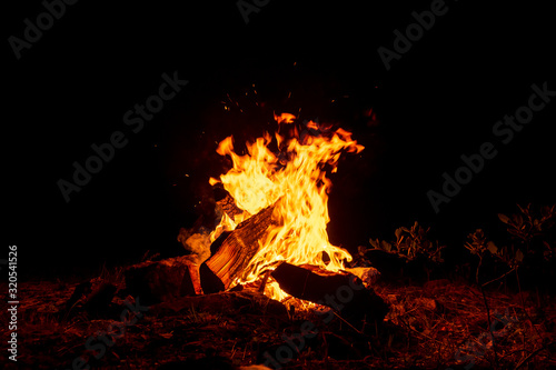 Campfire burning at dark night
