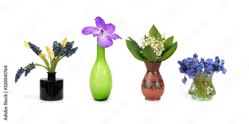Bouquet of lily of the valley, blossoming muscari, orchid isolated on white background for concept of posters, banners, postcards Bouquet of lily of the valley, blossoming muscari, orchid isolated on white background for concept of posters, banners, postcards