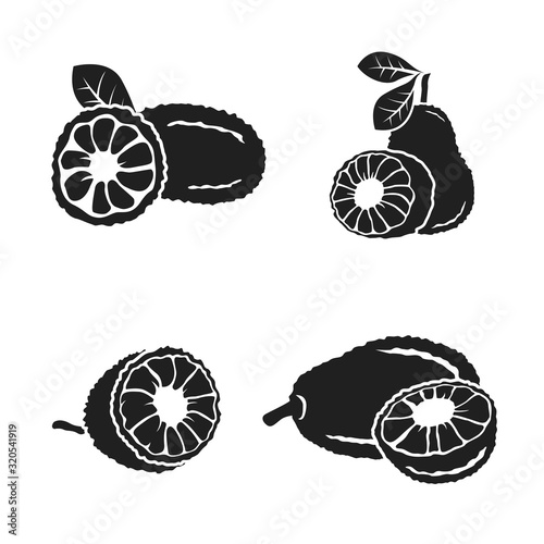 Vector black Jackfruit set on white background