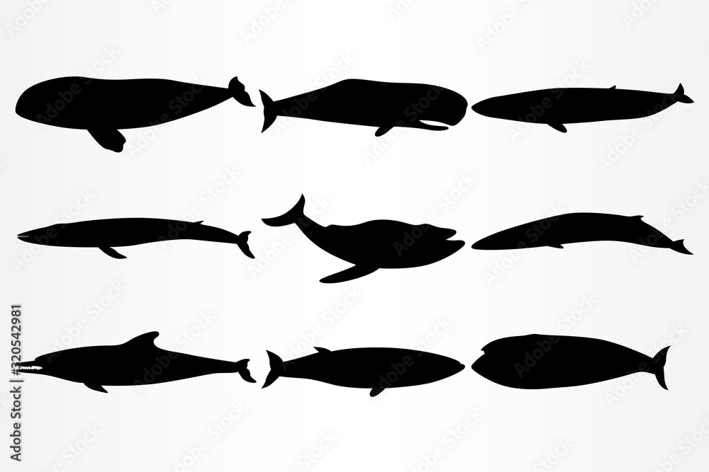 A set of nine icons for various dolphins and whales. A set of nine icons for various dolphins and whales.