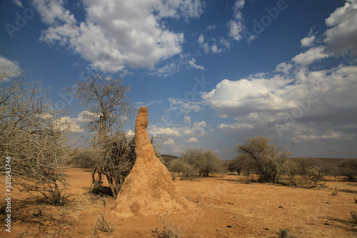 olbrzymie termitiery z dzrwami w tle w afryce w słoneczny dzień © KOLA  STUDIO