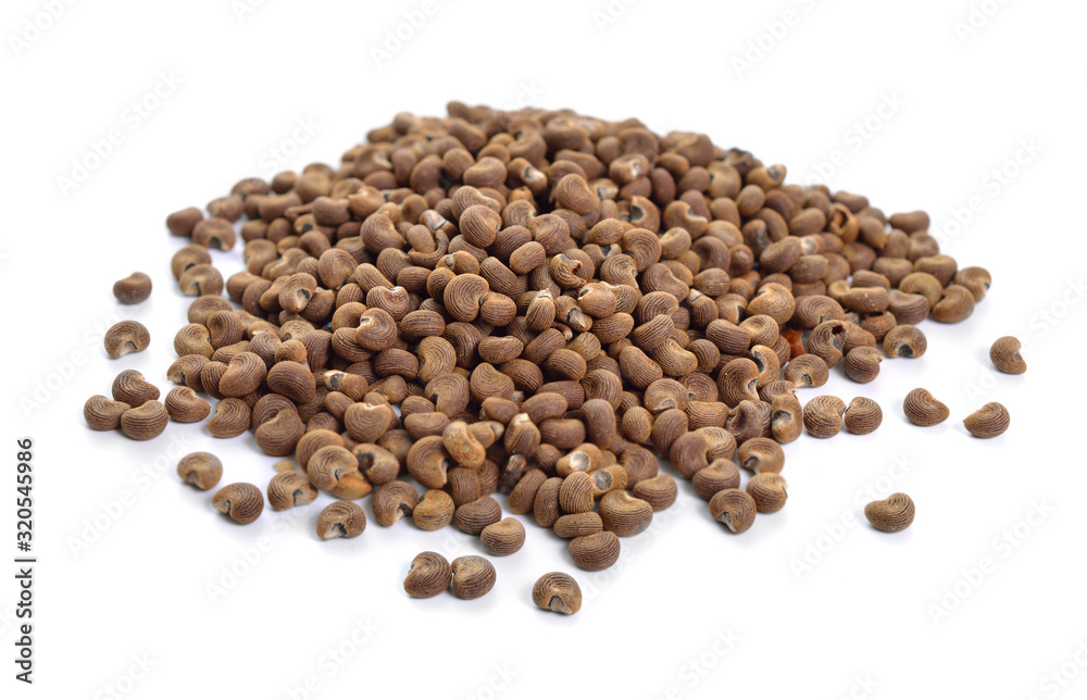 Abelmoschus moschatus Seed. Abelmosk, ambrette annual hibiscus Bamia Moschata Galu Gasturi muskdana Abelmoschus moschatus Seed. Abelmosk, ambrette annual hibiscus Bamia Moschata Galu Gasturi muskdana