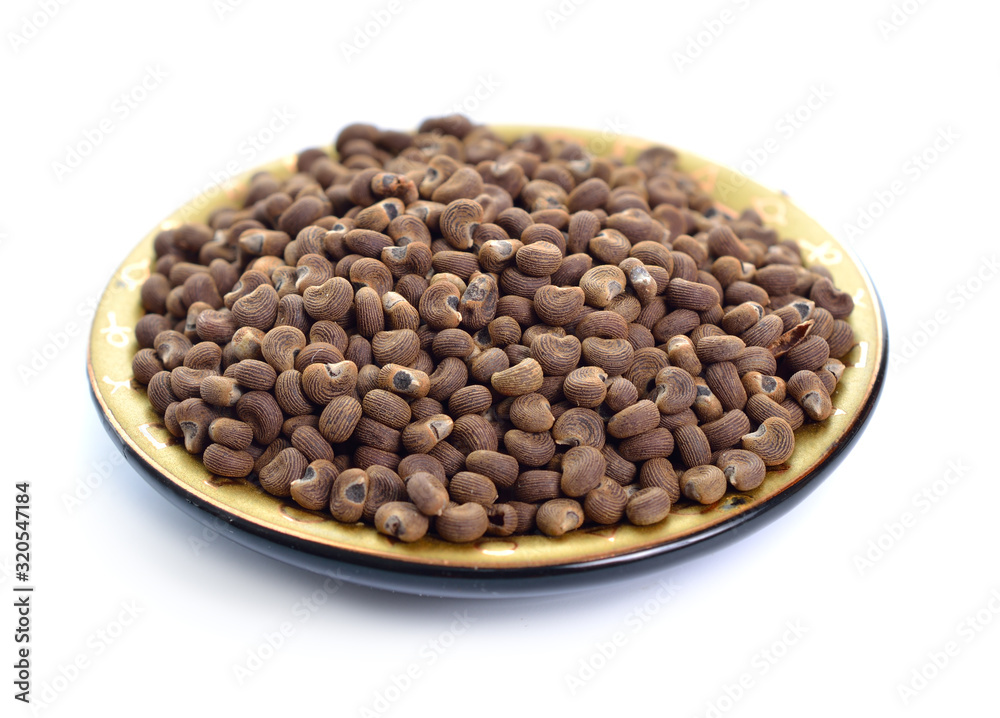 Abelmoschus moschatus Seed. Abelmosk, ambrette annual hibiscus Bamia Moschata Galu Gasturi muskdana Abelmoschus moschatus Seed. Abelmosk, ambrette annual hibiscus Bamia Moschata Galu Gasturi muskdana