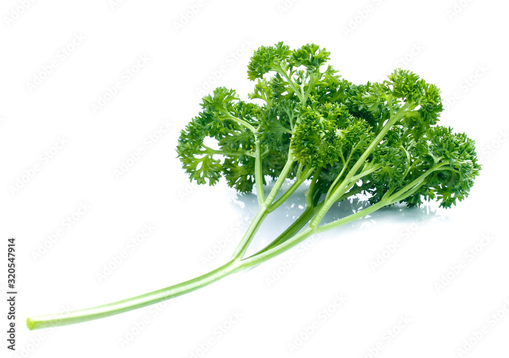 parsley isolated on white background parsley isolated on white background
