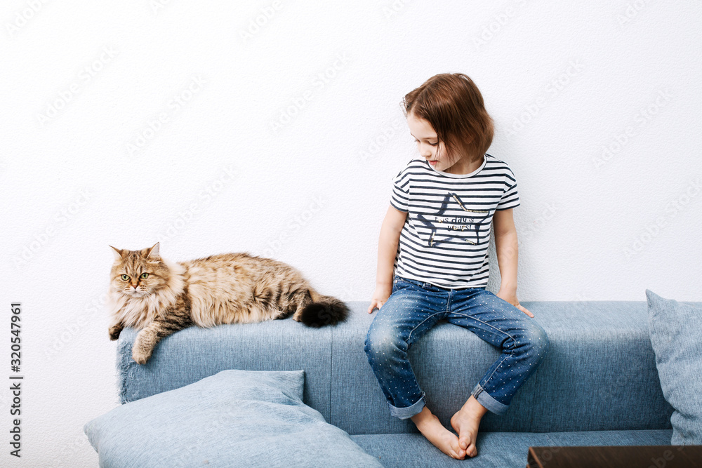 Little preschooler girl child sitting on a couch with cat against white wall background
