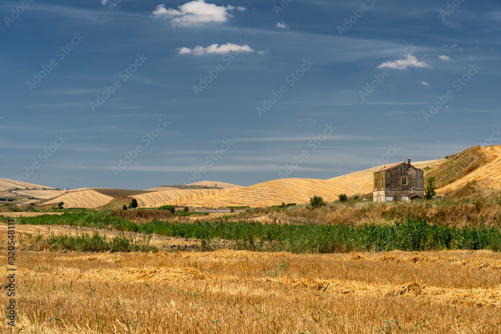 Rural landscape in Basilicata at summer