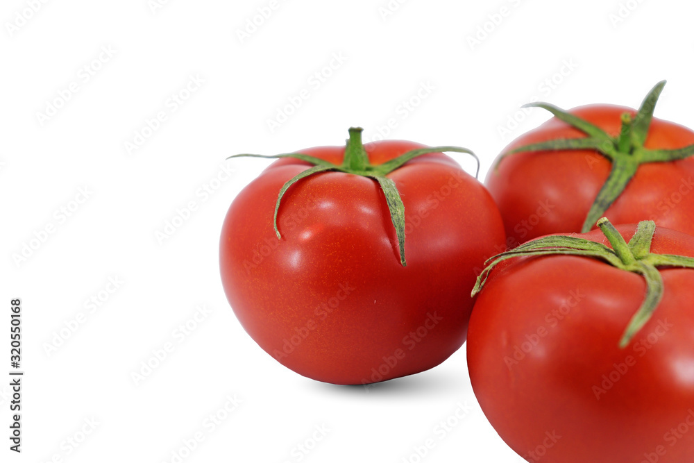 tomato juice farm production of tomato tomato juice farm production of tomato