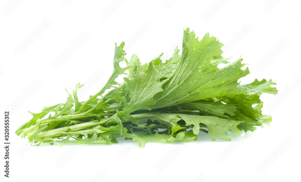 Chinese cabbage on white background Chinese cabbage on white background