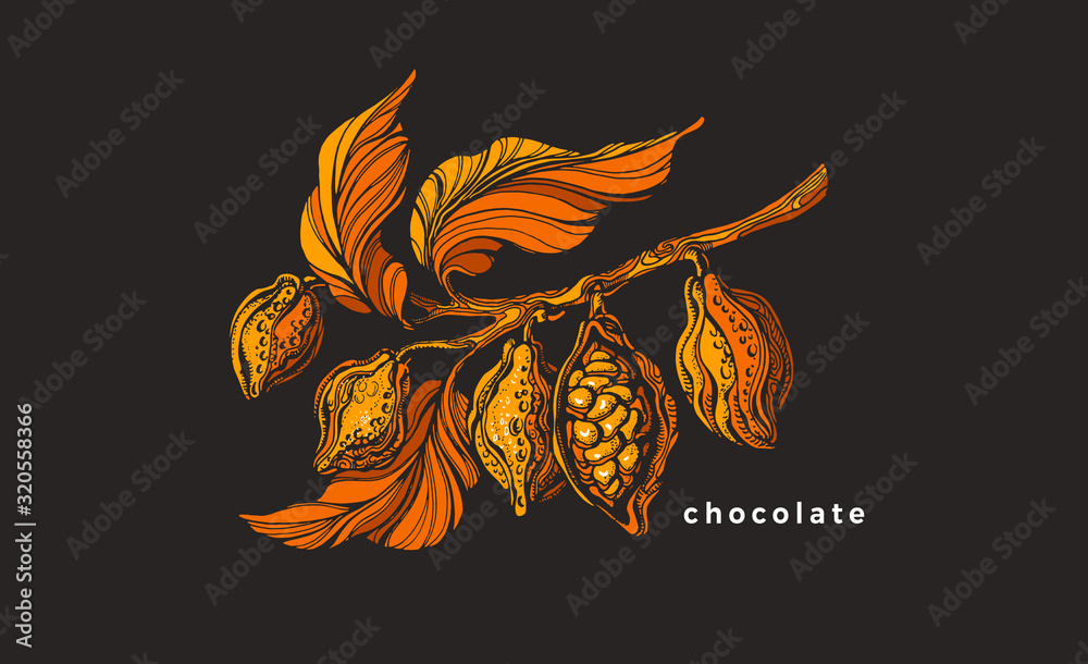 Vector of cocoa tree. Tropical symbol