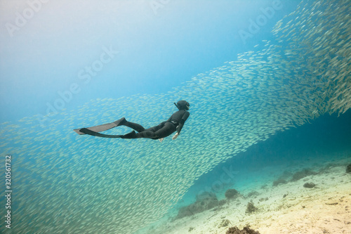 Un apnéiste plonge face à un banc de poissons photo