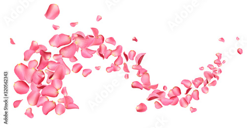 Fotótapéta Flying fresh pink rose petals on white background