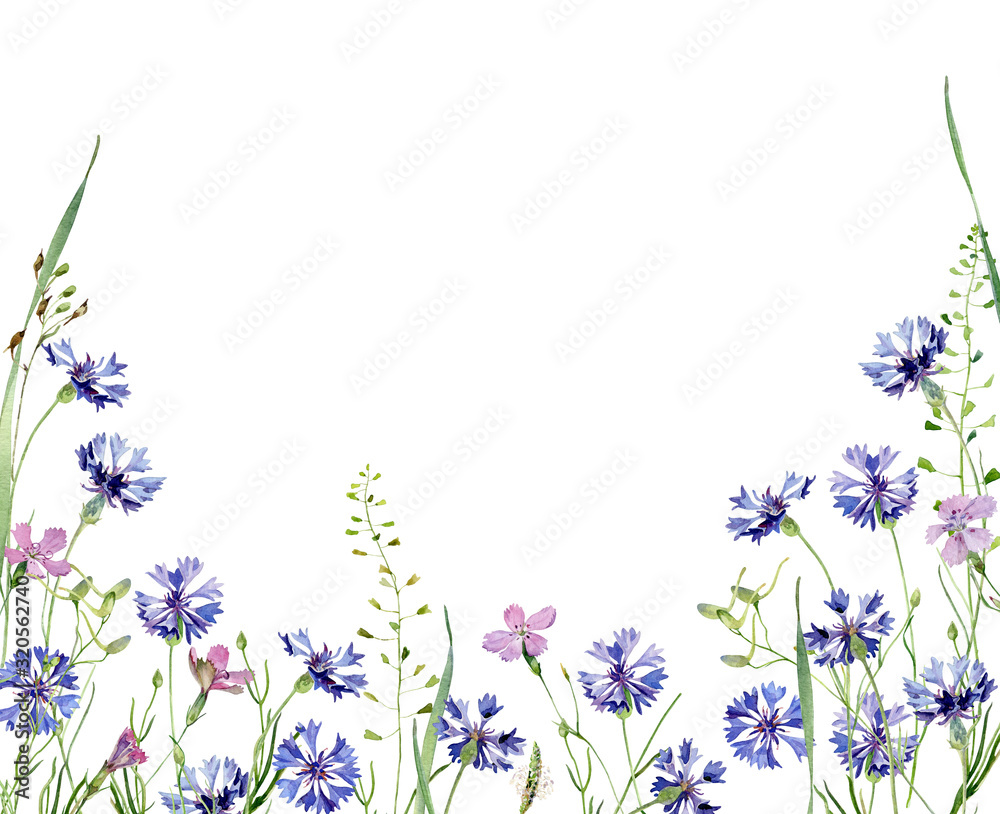 Background from watercolor wild carnations and cornflowers.