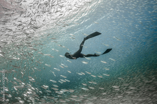Un apnéiste plonge face à un banc de poissons
