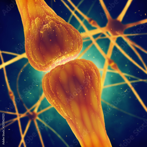 Synaptic transmission is the biological process by which neurotransmitters are released by a neuron and activate the receptors of another neuron , muscle or secretory cell, Neurotransmission
