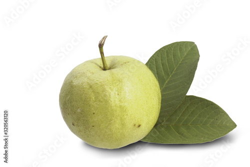 Guava on a white background