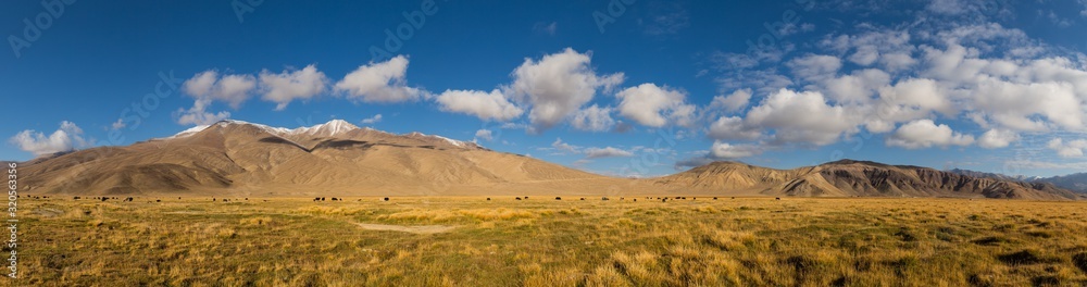 Panorama of mountain pastures with wild yakas in the Pamir mountains in Tajikistan, on the border with Avganistan Panorama of mountain pastures with wild yakas in the Pamir mountains in Tajikistan, on the border with Avganistan