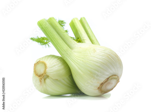 Fresh, organic fennel on a white background