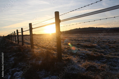 Winter Sun
