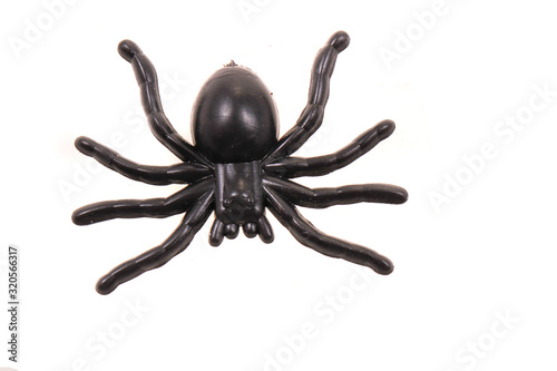 plastic spider isolated