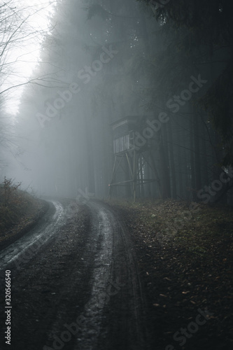 Hochsitz aus Holz in einer Kurve an einem Feldweg im Wald © ramonmaesfotografie