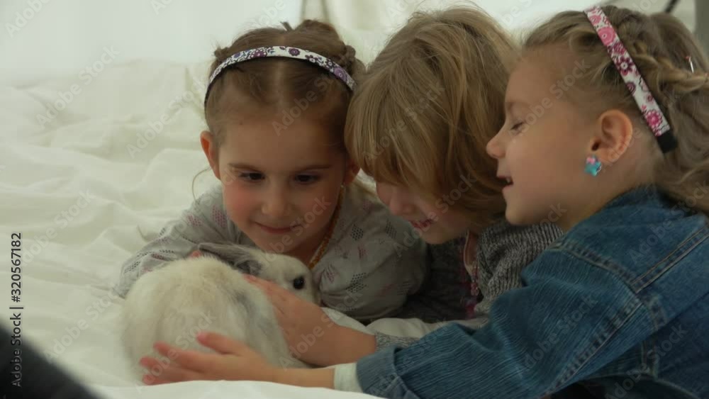Three happy girls are touching tenderly a cute grey fluffy rabbit Three happy girls are touching tenderly a cute grey fluffy rabbit