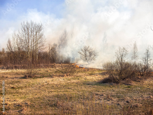 Dry grass burning in the spring forest, fire. Increased fire hazard in nature, a lot of smoke, background, landscape © HENADZY